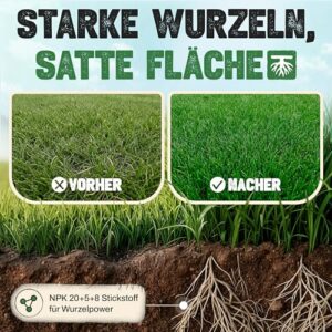 Alternative view of Natureflix Rasendünger 20kg für 1000m² | Langzeitdünger für dichten & sattgrünen Rasen | Premium Rasen Dünger für Frühjahr & Sommer Anwendung | Tierfreundlicher NPK Dünger