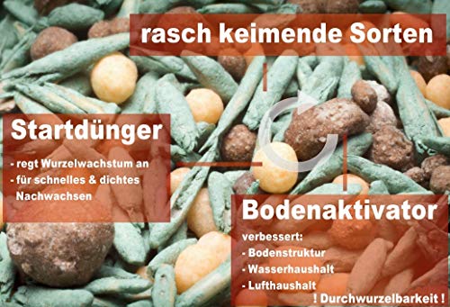 Substral Vertikutiermix für 266 m² - 8 kg – Bild 3